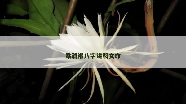 梁润湘八字讲解女命