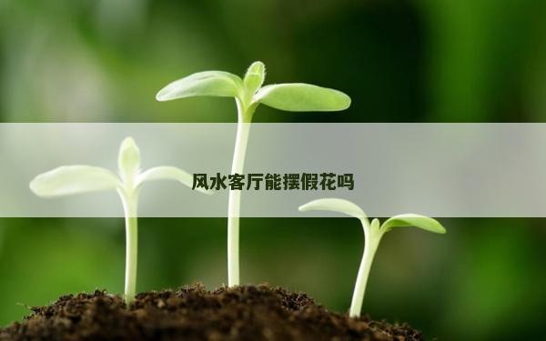 风水客厅能摆假花吗