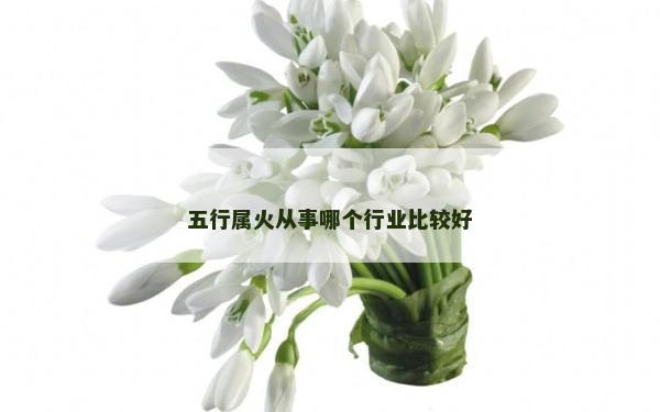 五行属火从事哪个行业比较好