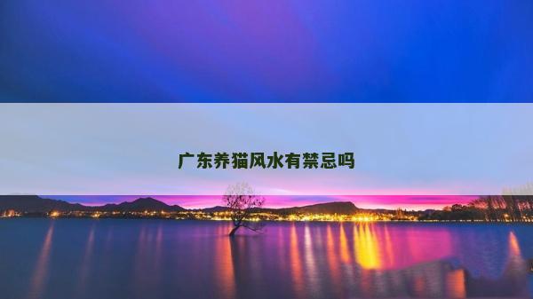 广东养猫风水有禁忌吗