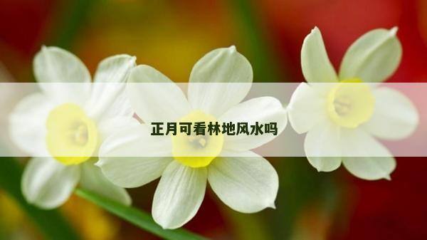 正月可看林地风水吗