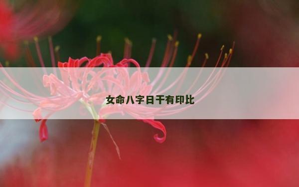 女命八字日干有印比