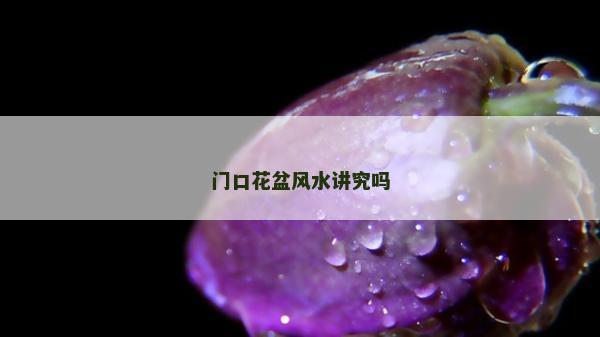 门口花盆风水讲究吗