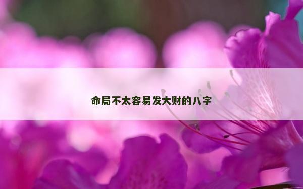 命局不太容易发大财的八字