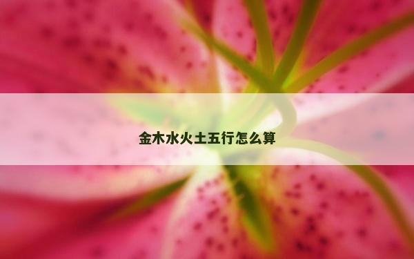 金木水火土五行怎么算