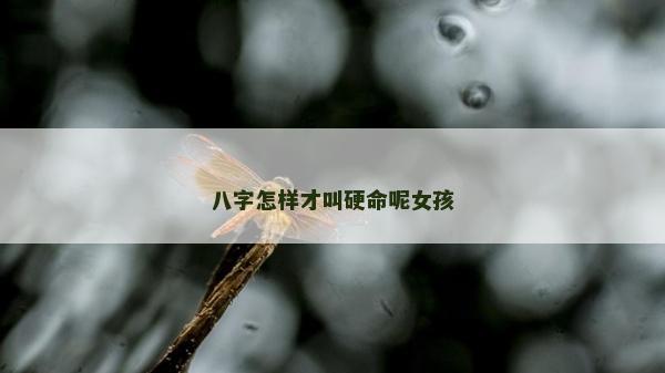 八字怎样才叫硬命呢女孩