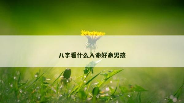 八字看什么入命好命男孩