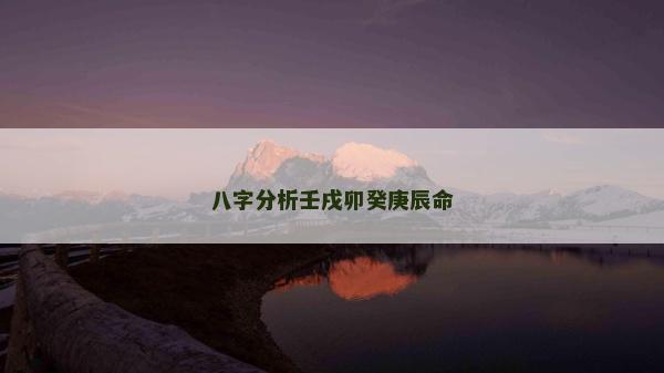 八字分析壬戌卯癸庚辰命