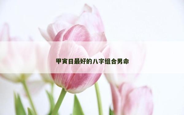 甲寅日最好的八字组合男命