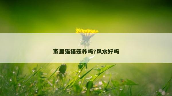 家里猫猫笼养吗?风水好吗