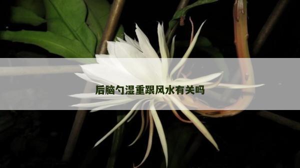 后脑勺湿重跟风水有关吗
