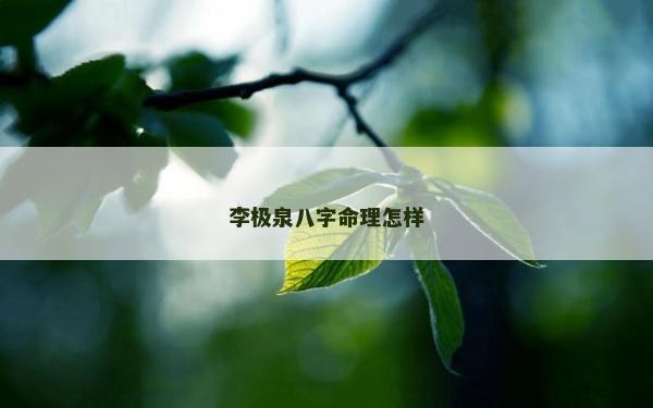 李极泉八字命理怎样