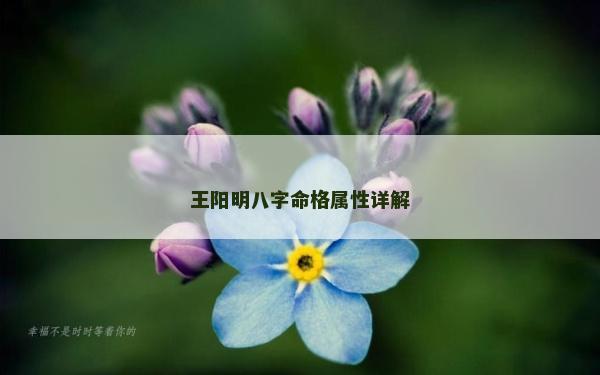 王阳明八字命格属性详解