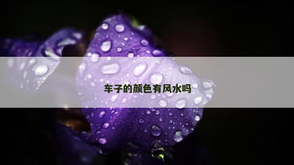 车子的颜色有风水吗