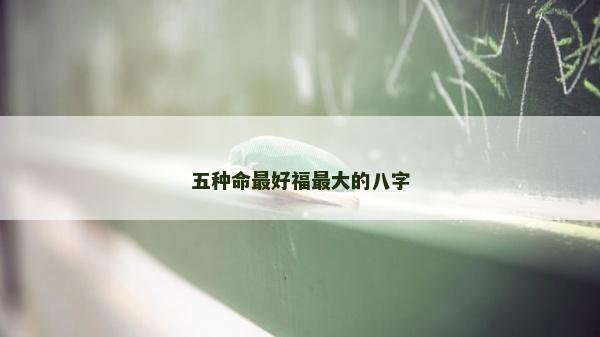五种命最好福最大的八字