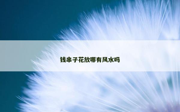 钱串子花放哪有风水吗