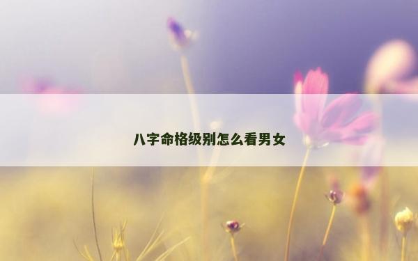 八字命格级别怎么看男女