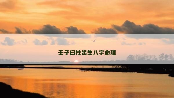 壬子曰柱出生八字命理