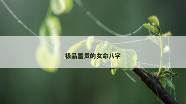 极品富贵的女命八字