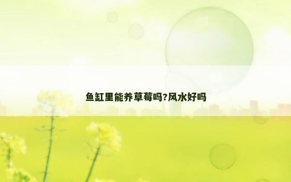 鱼缸里能养草莓吗?风水好吗