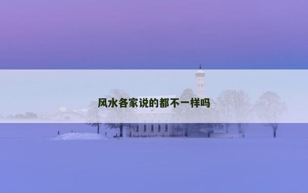 风水各家说的都不一样吗
