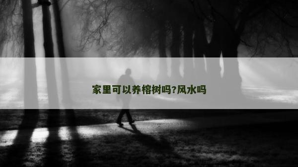 家里可以养榕树吗?风水吗