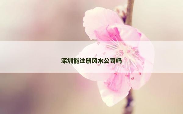 深圳能注册风水公司吗