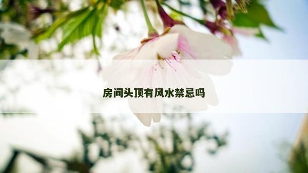 房间头顶有风水禁忌吗