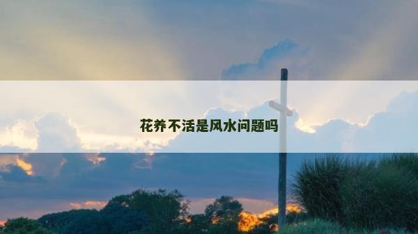 花养不活是风水问题吗