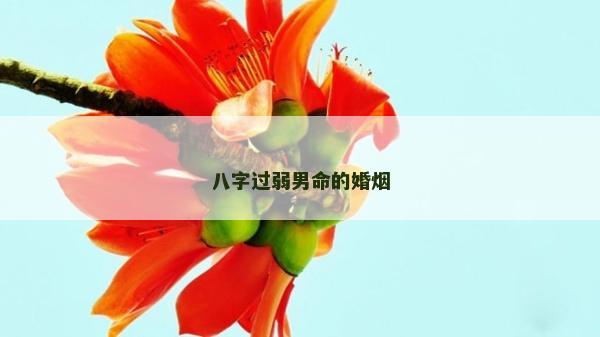 八字过弱男命的婚烟