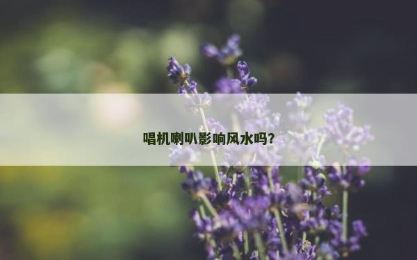 唱机喇叭影响风水吗？