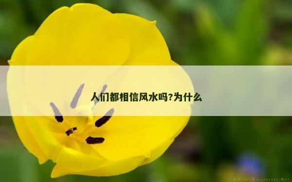 人们都相信风水吗?为什么