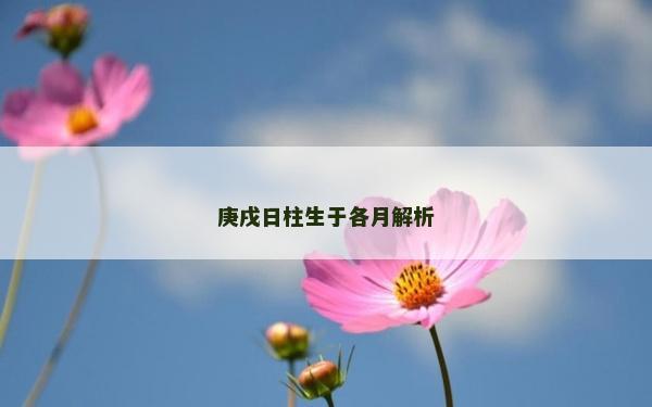庚戌日柱生于各月解析