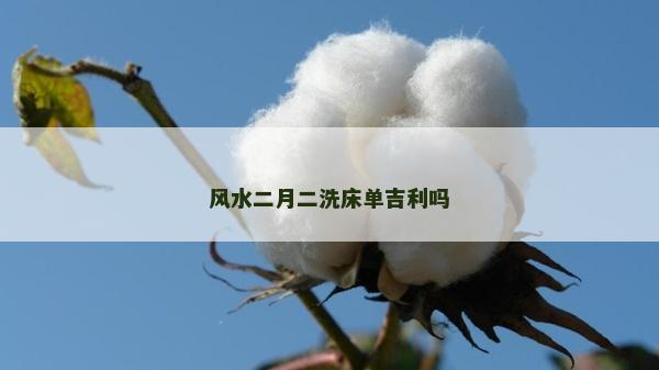 风水二月二洗床单吉利吗