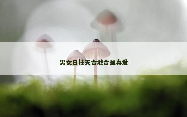 男女日柱天合地合是真爱