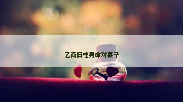 乙酉日柱男命对妻子