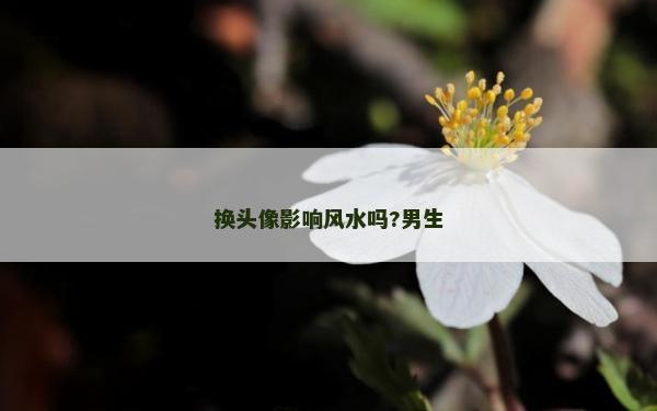 换头像影响风水吗?男生