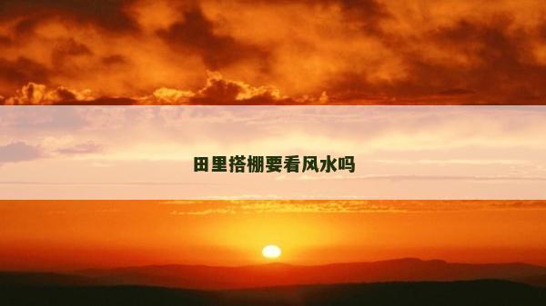 田里搭棚要看风水吗