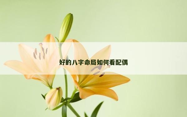 好的八字命局如何看配偶