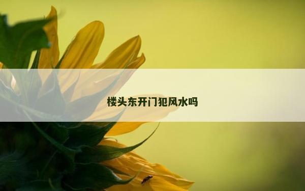 楼头东开门犯风水吗