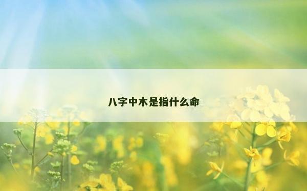 八字中木是指什么命