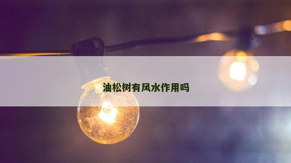 油松树有风水作用吗