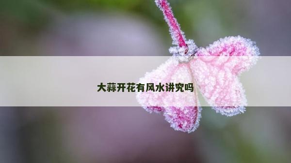大蒜开花有风水讲究吗