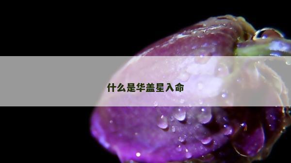 什么是华盖星入命