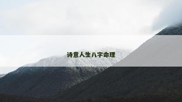 诗意人生八字命理