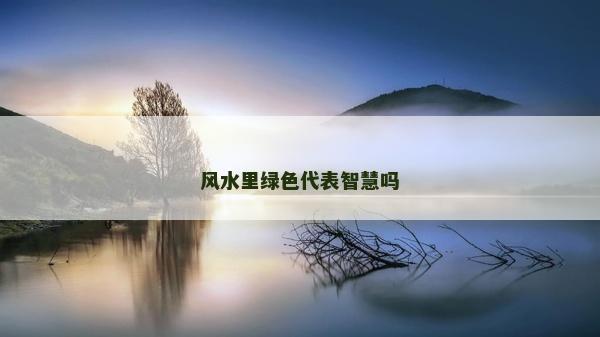 风水里绿色代表智慧吗