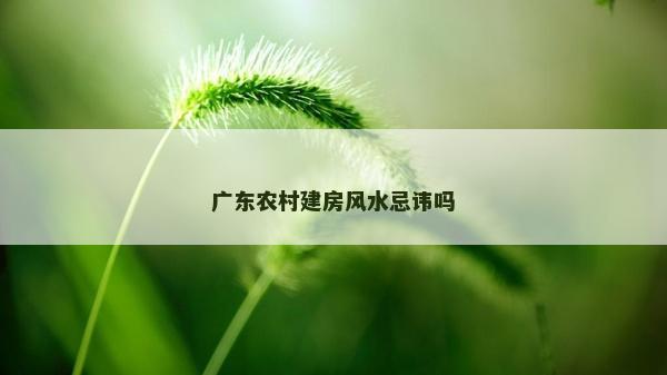 广东农村建房风水忌讳吗