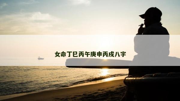 女命丁巳丙午庚申丙戍八字
