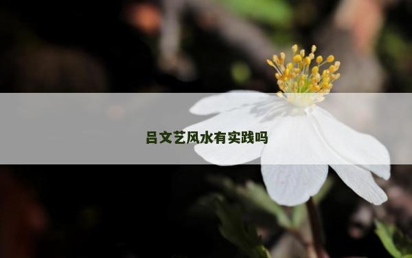 吕文艺风水有实践吗