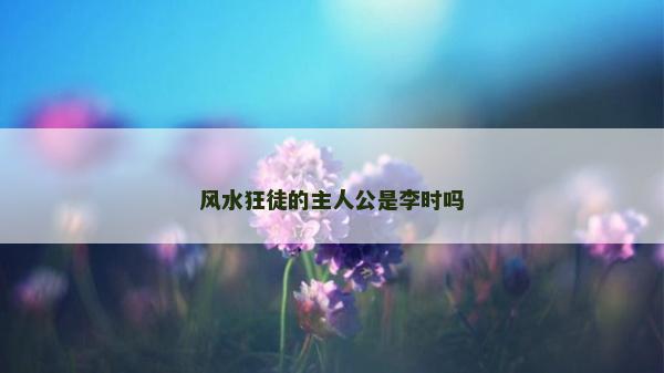 风水狂徒的主人公是李时吗